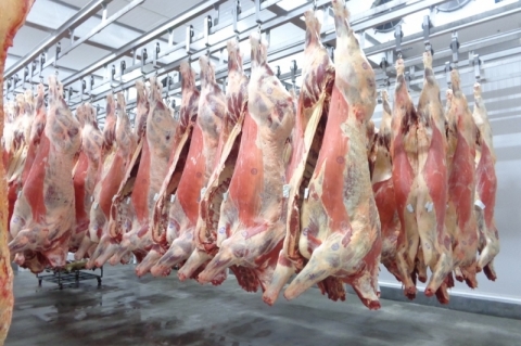 CARNE BOVINA: MINISTÉRIO DA AGRICULTURA AINDA NÃO TEM PREVISÃO DE REABERTURA COMERCIAL COM A CHINA