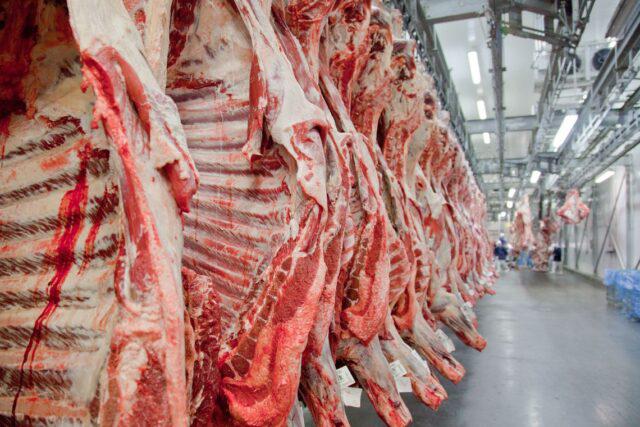 CARNE BOVINA: EXPORTAÇÕES PARA CHINA SEGUIRÃO AQUECIDAS EM 2022