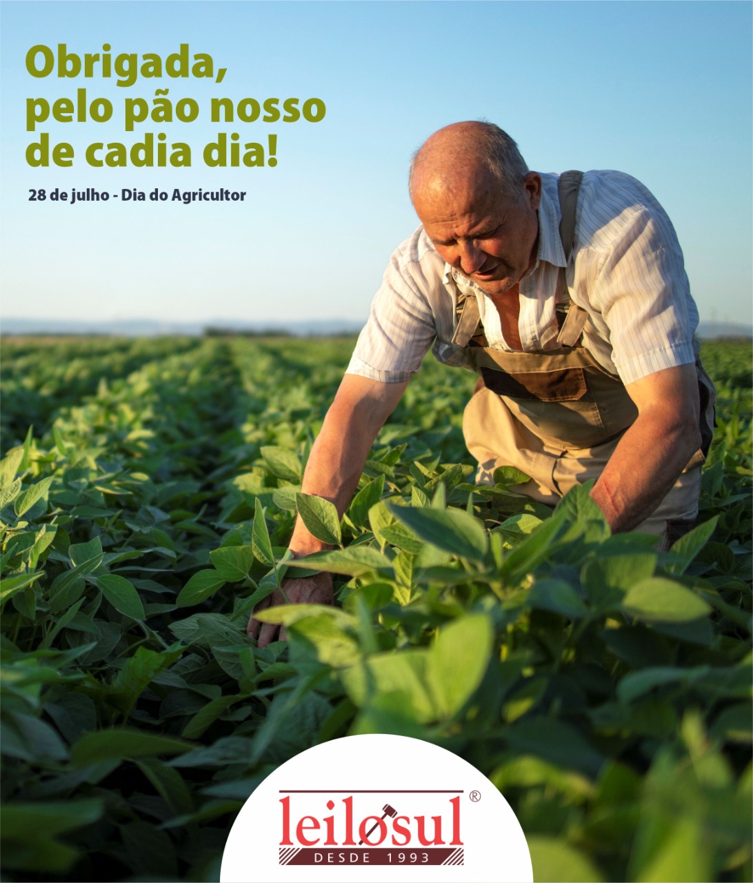 DIA DO AGRICULTOR 