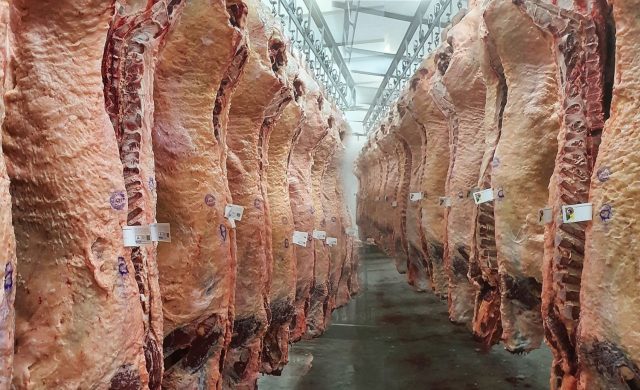 EXPORTAÇÕES DE CARNE ESTÃO SUSPENSAS POR 30 DIAS, NA ARGENTINA